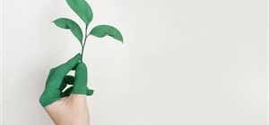 Eco-Friendly Moving Tips for a Greener Move