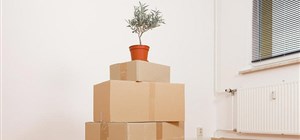 Mini Removals - Events, Office and Household Furniture Removals